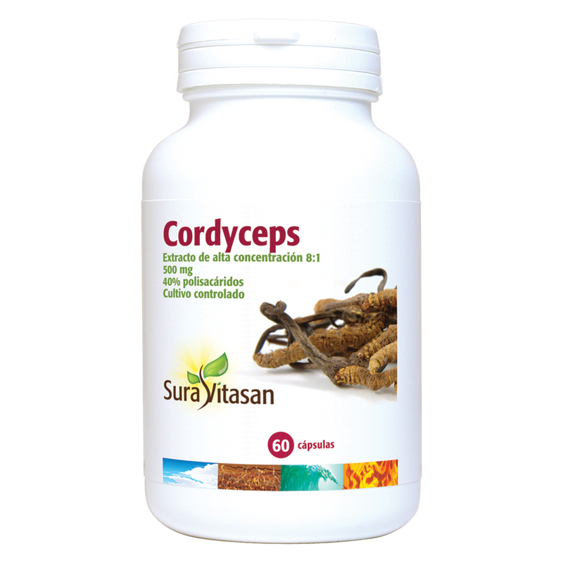 Cordyceps