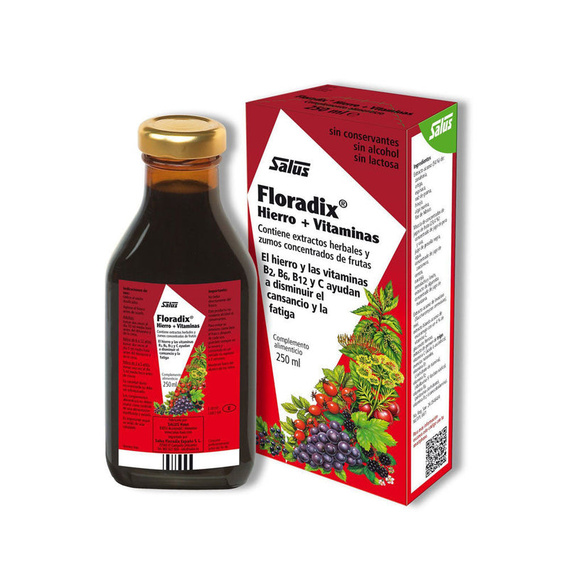 Floradix 250 ml Salus