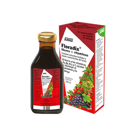 Floradix Jarabe Floravital (vegano) 250ml Salus