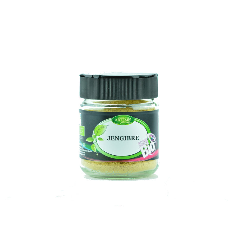 Jengibre polvo bio 75g Especias Artemis