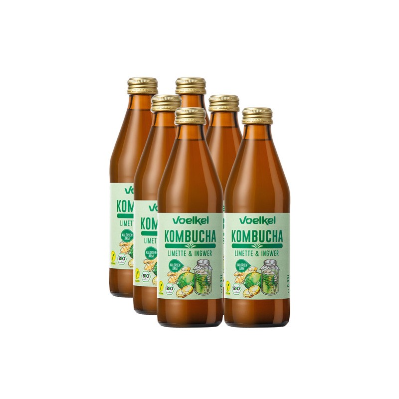 Kombucha Lima y Jengibre Bio 6x330ml Voelkel