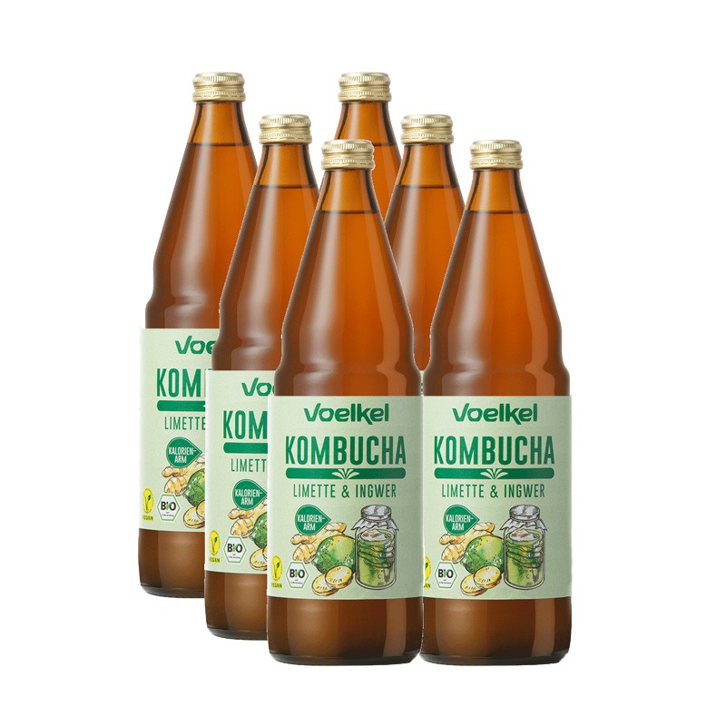 Kombucha Lima y jengibre bio 6x750ml Voelkel